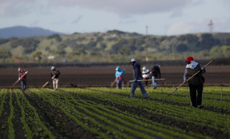 Migrantes mexicanos denuncian red de ‘esclavos modernos’ en Canadá