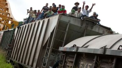 Migrantes toman tren, desesperados por llegar a la frontera