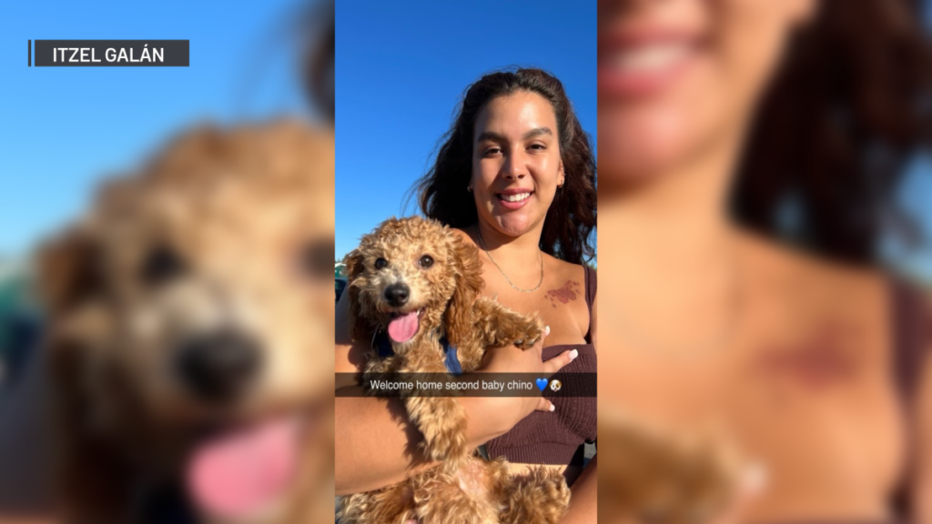 Muere coach y consejera escolar de 23 años en tiroteo en Waukegan