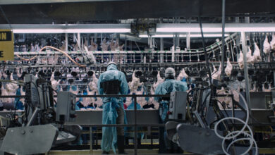 Netflix prepara el documental 'Poisoned: The Dirty Truth About Your Food' para su lanzamiento en 2023