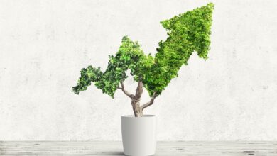 Para asegurar la financiación en las primeras etapas, los empresarios deben incorporar ESG en sus modelos de negocio