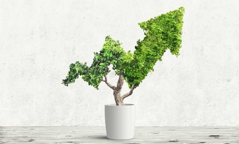 Para asegurar la financiación en las primeras etapas, los empresarios deben incorporar ESG en sus modelos de negocio