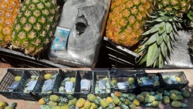 Piñas y cocaína; Guardia Nacional intercepta camión con 310 kilos de la droga