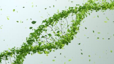 Pluton Biosciences lleva al mercado sus microbios fijadores de carbono con una nueva inversión de 16,6 millones de dólares