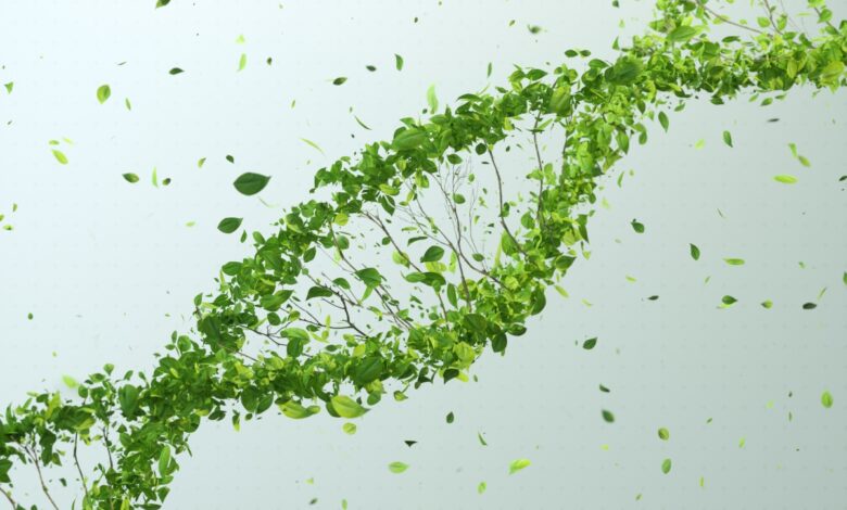 Pluton Biosciences lleva al mercado sus microbios fijadores de carbono con una nueva inversión de 16,6 millones de dólares
