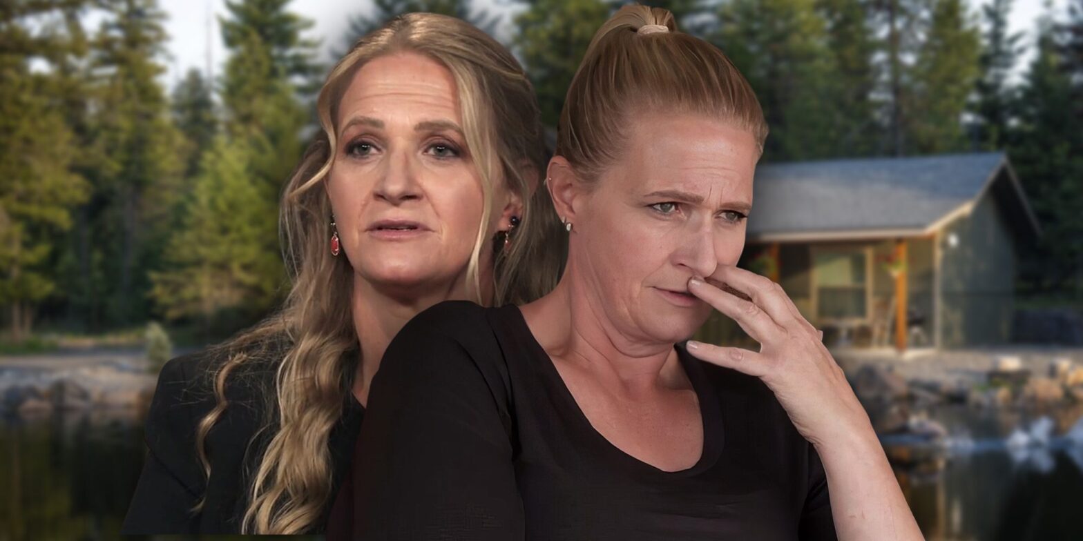 Por qué podría fracasar la nueva empresa de Airbnb de Christine Brown de Sister Wives (y por qué podría no)