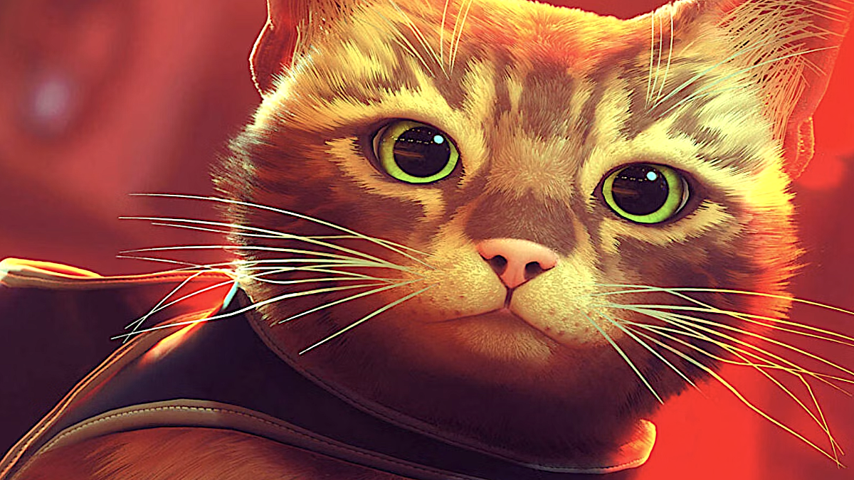 Stray aparentemente se dirige a Xbox