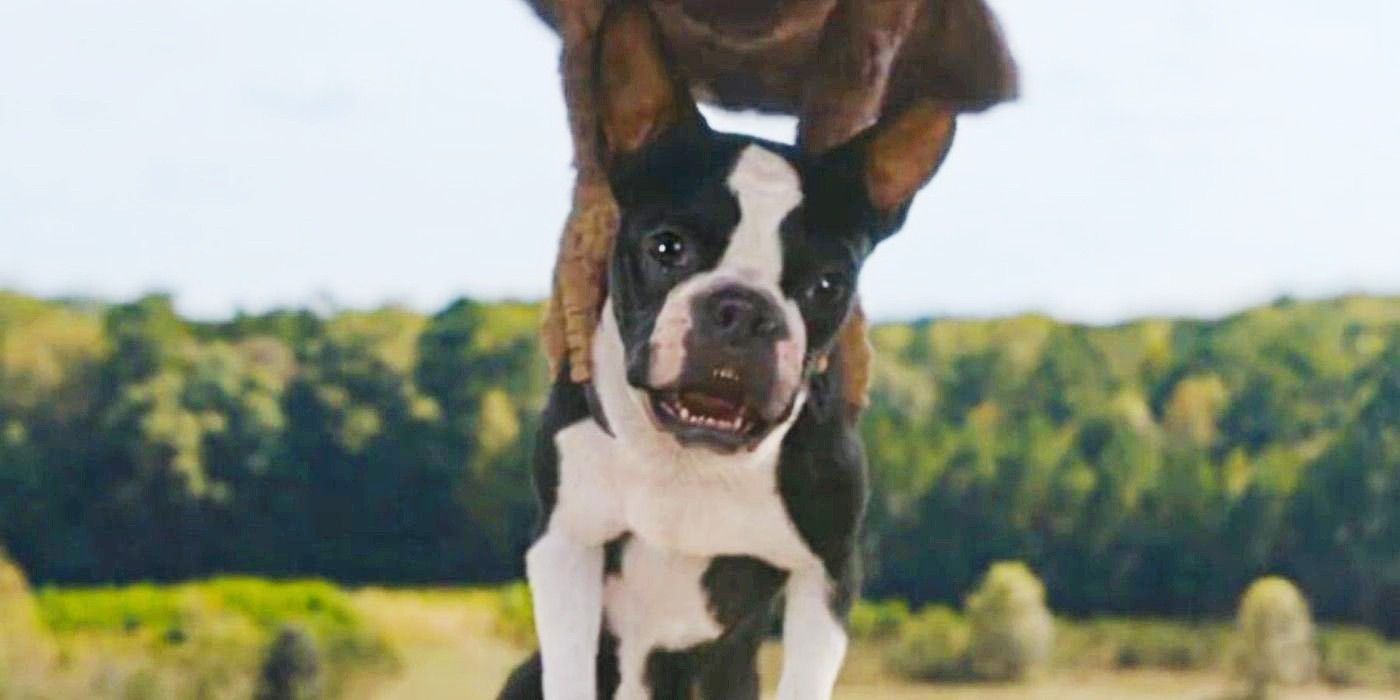 A dog being carried by a large bird in Strays