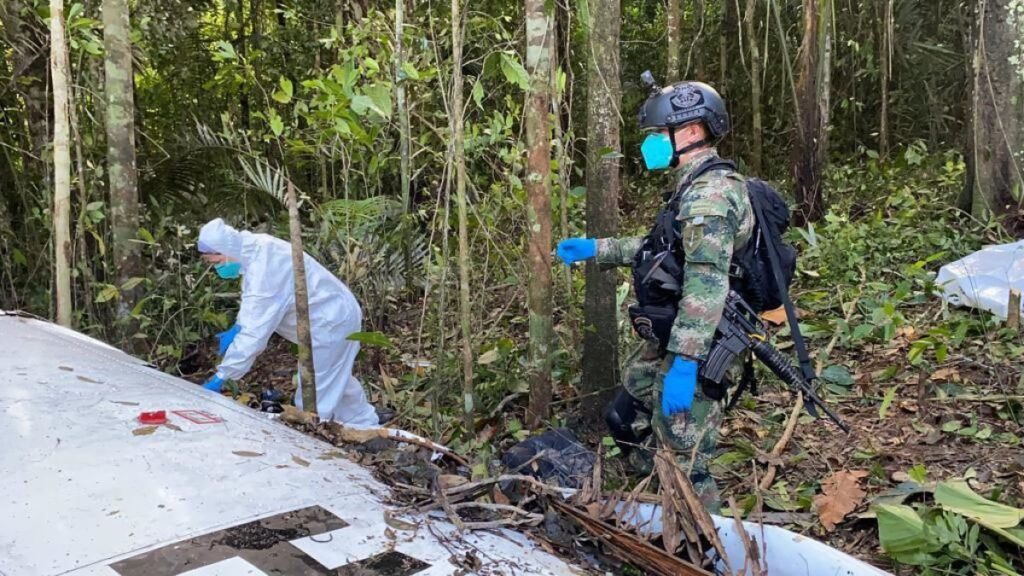 Tragedia en la selva: ¿dónde están los cuatro niños que iban en la avioneta?