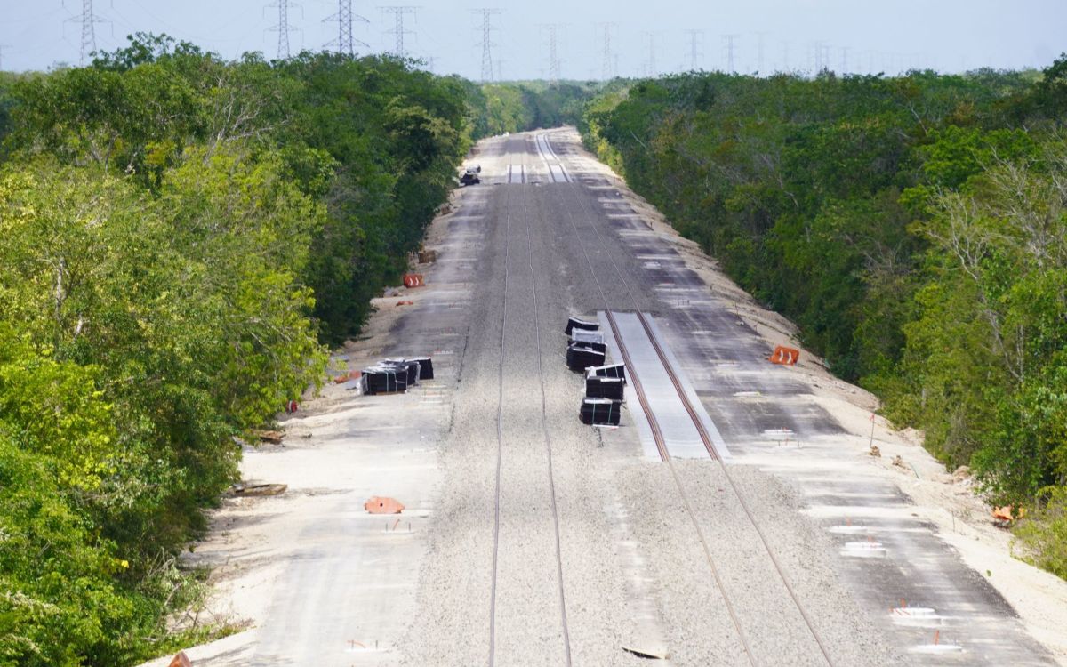‘Tren Maya costará 2.4 veces lo previsto’: IMCO