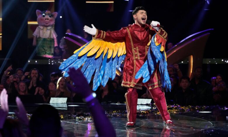 Masked Singer's David Archuleta unmasked as Macaw