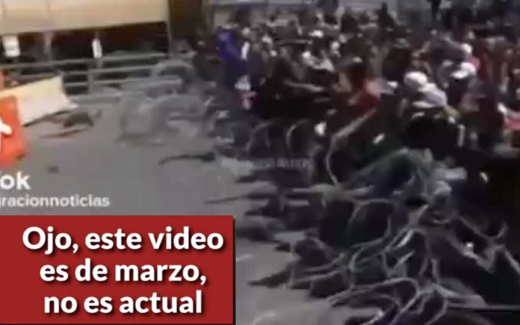Viralizan video que muestra estampida en la frontera, pero no es actual