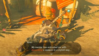 Zelda: Tears of the Kingdom Decorate with Passion Quest Start with Boraa NPC
