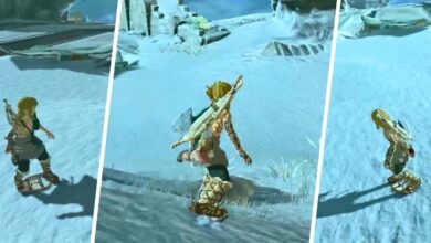 Link Shield Surfing in Tears of the Kingdom