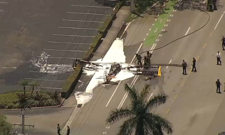 avioneta se estrella en una calle y muere el piloto