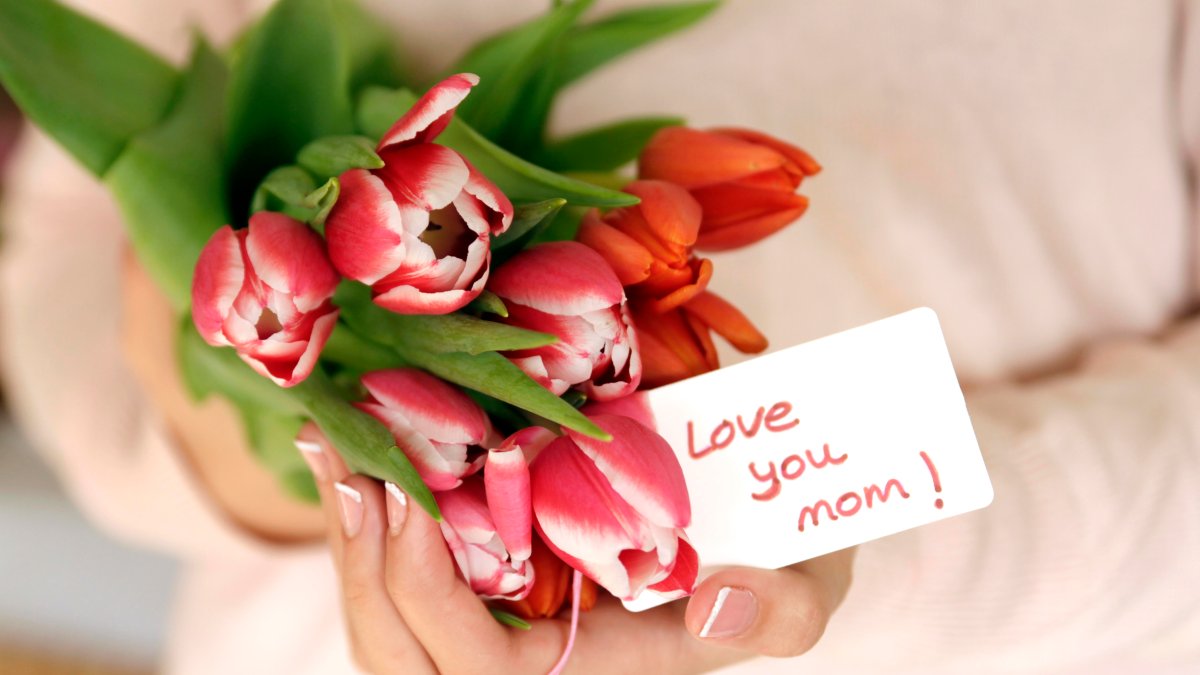 hijas sin madre encuentran apoyo en el duelo de las demás