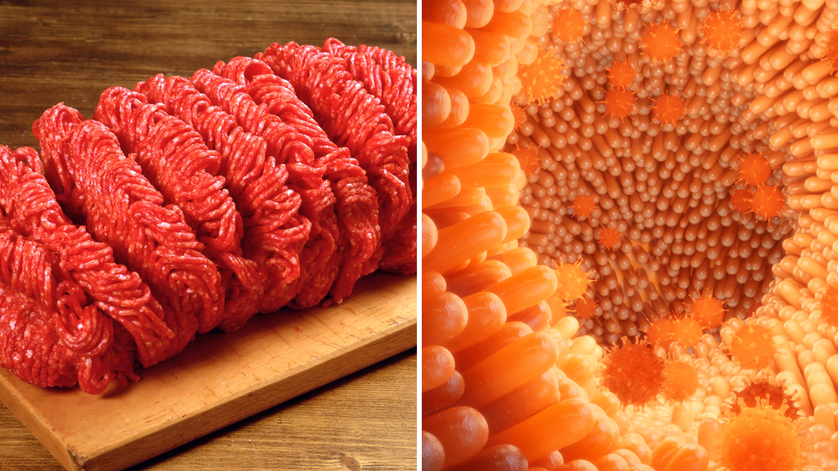 investigan brote de salmonela en seis estados