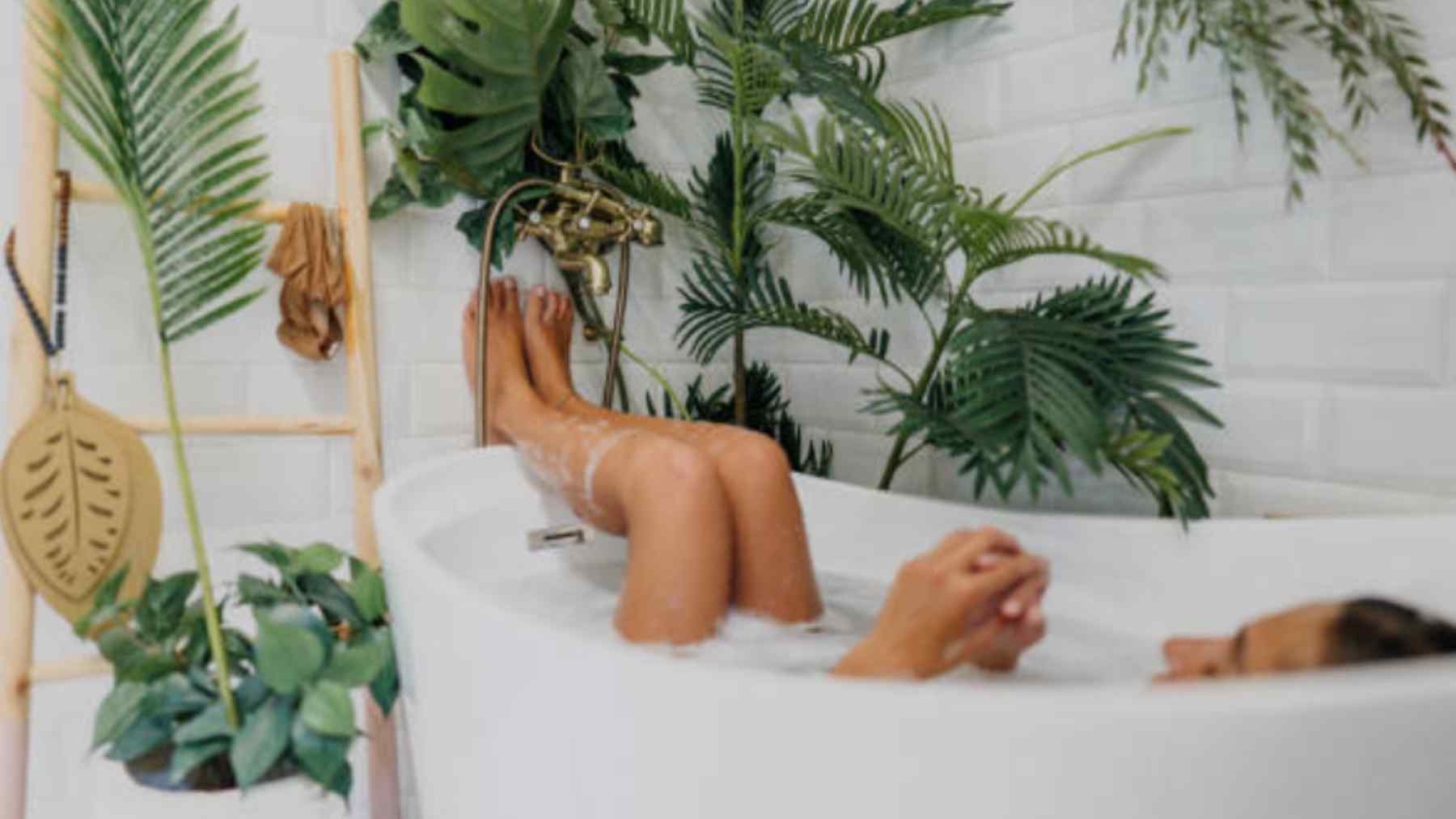 la planta que acaba con las humedades en el baño