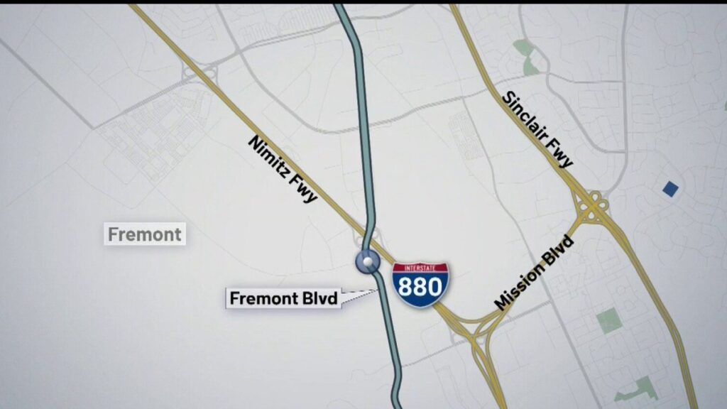 mujer arrollada mortalmente por conductor que se dio a la fuga