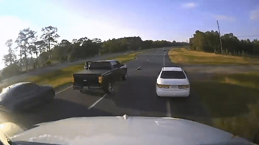 tortuga que cruzaba la carretera provoca choque en Florida