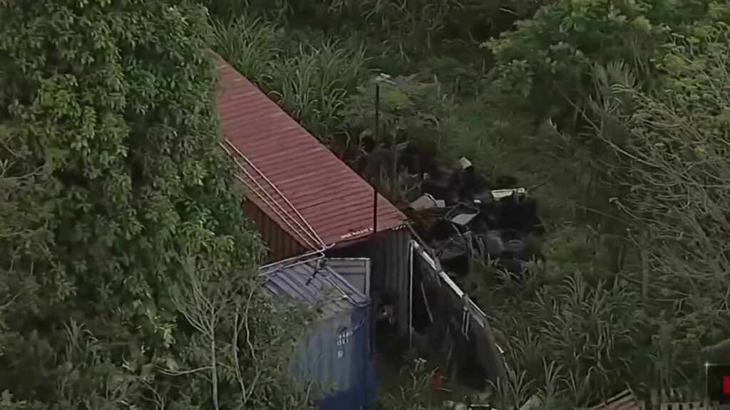 arrestado por tener 30 perros en condiciones insalubres