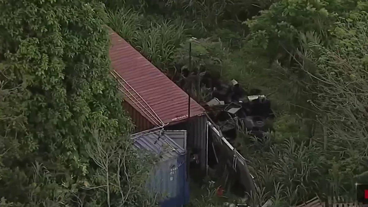 arrestado por tener 30 perros en condiciones insalubres