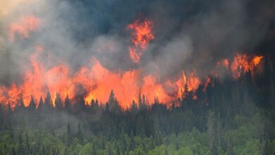 América Latina sufrirá más incendios en próximo años