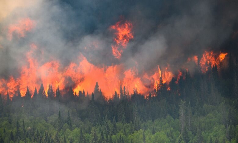 América Latina sufrirá más incendios en próximo años