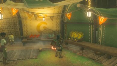 The Legend Of Zelda Tears Of The Kingdom Link Purchasing Hylian Rice From Lookout Landing Store