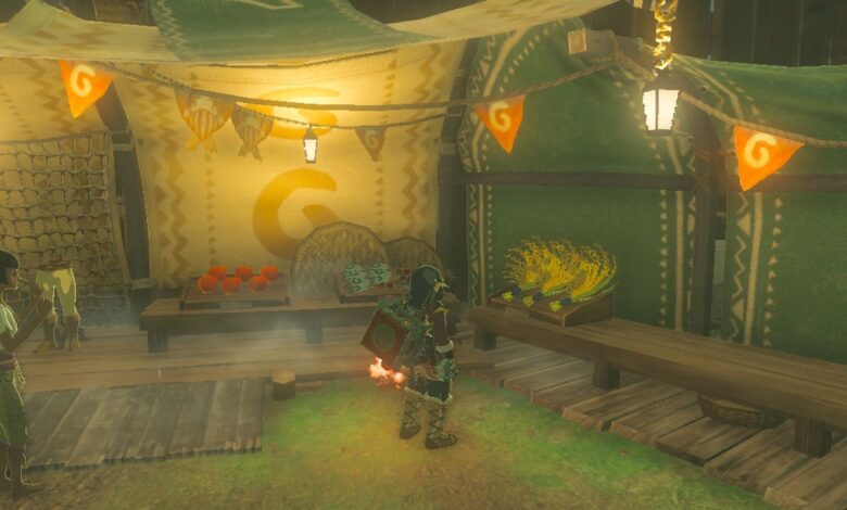 The Legend Of Zelda Tears Of The Kingdom Link Purchasing Hylian Rice From Lookout Landing Store
