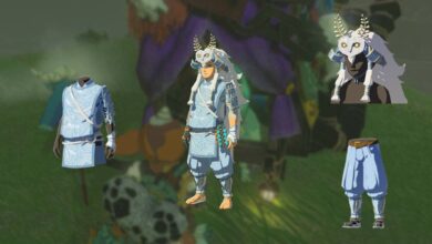 Zelda: Tears of the Kingdom Mystic Armor Set with All Pieces Shown with Koltin's Shop as Background