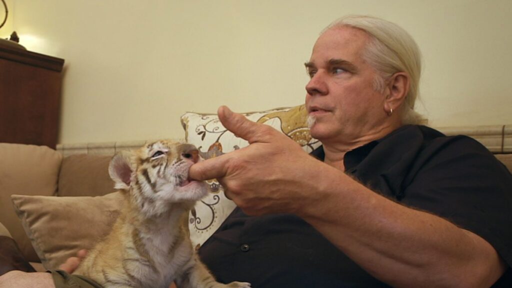 Condenan por tráfico de vida silvestre a estrella de “Tiger King”
