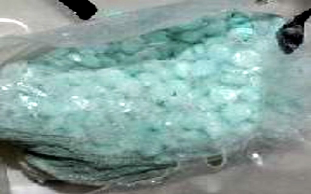 Destruye FGR más de 735 mil pastillas de fentanilo en Sinaloa