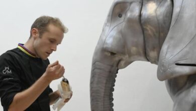El elefante de 1,5 m y 100 kgs de chocolate llega al Museo de Barcelona