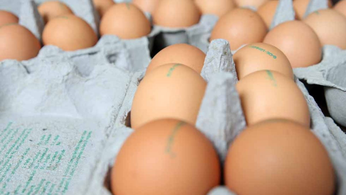 El precio de los huevos experimenta la mayor caída mensual en 72 años