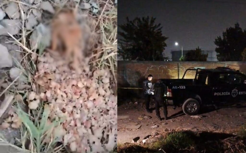 Encuentran restos humanos dentro de pozole en Jalisco