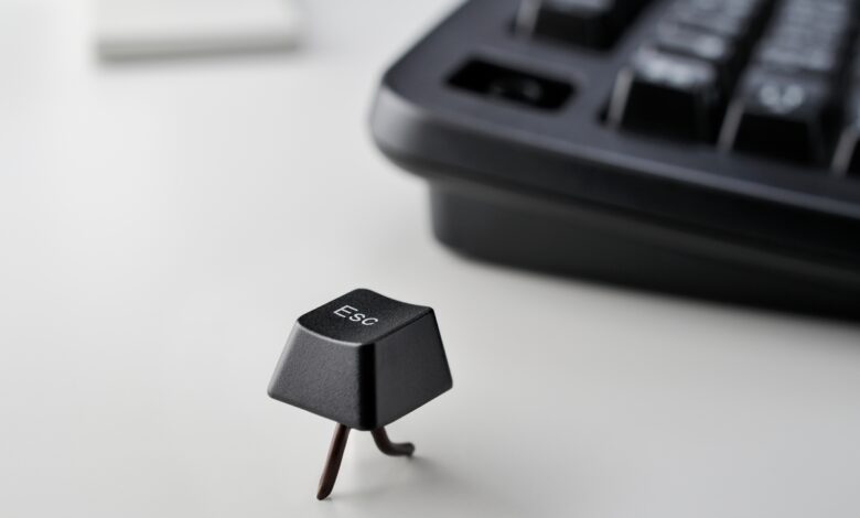 Escape escanea dinámicamente las API para encontrar fallas de seguridad