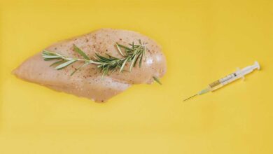 Estados Unidos aprueba la venta de pollo cultivado en laboratorios