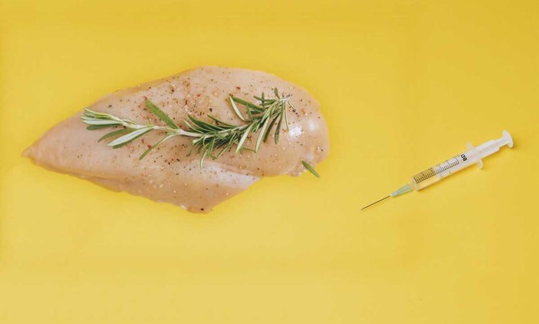 Estados Unidos aprueba la venta de pollo cultivado en laboratorios