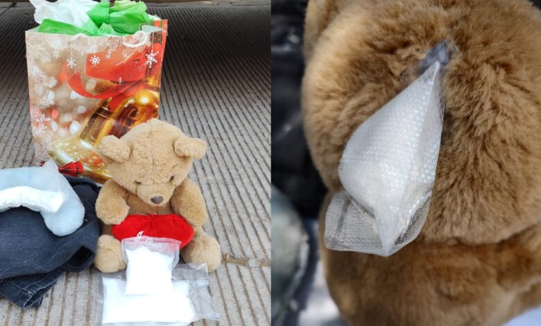 Guardia Nacional asegura 'narco peluches' con cristal