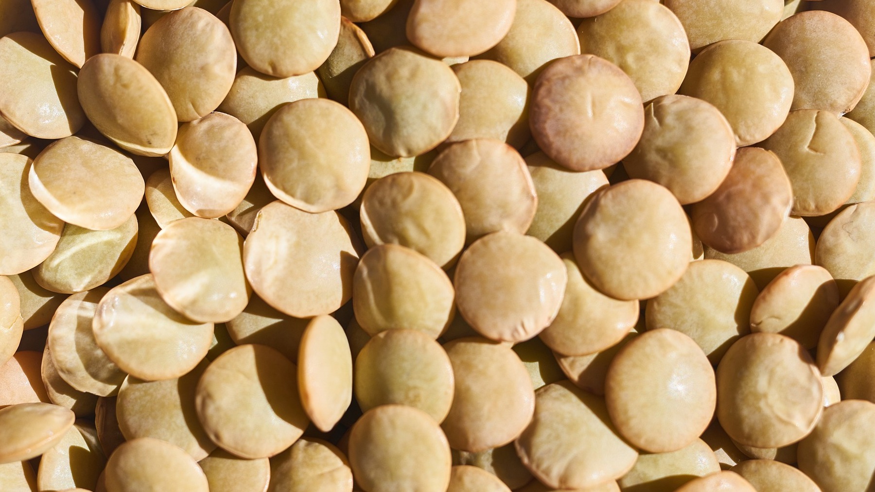 Jamás congeles las lentejas con patata: esto podría pasarte