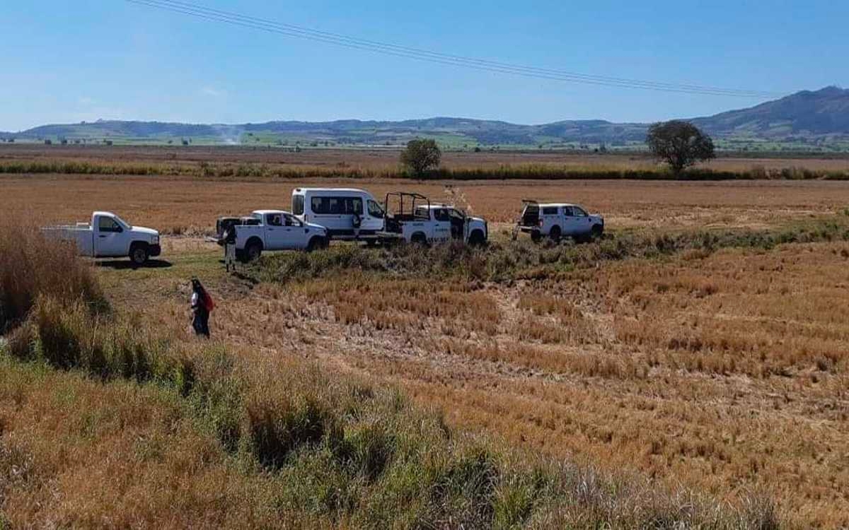 Karina Cancino gana Premio Estatal de Periodismo en Nayarit