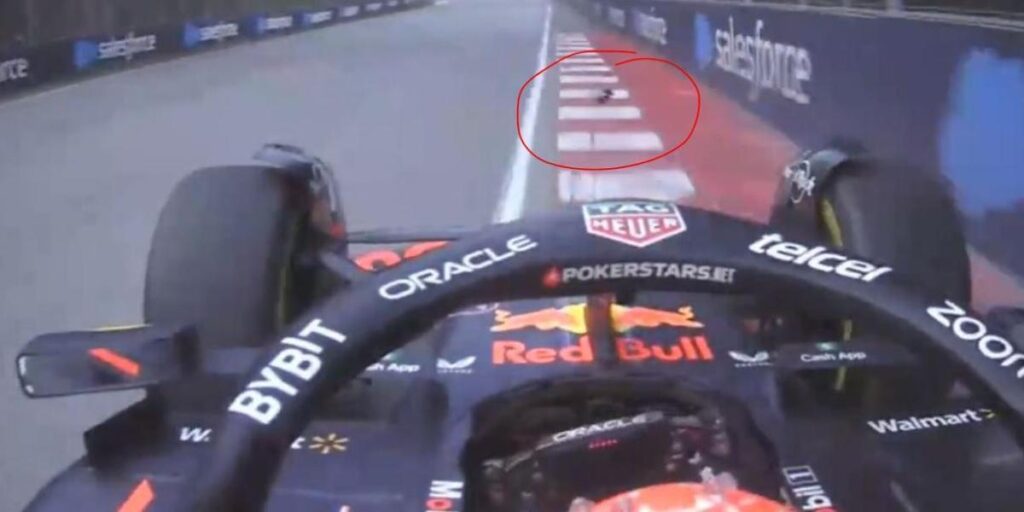 La suerte del campeón: un pájaro pudo arruinarle el triunfo a Verstappen en Canadá en favor de Alonso