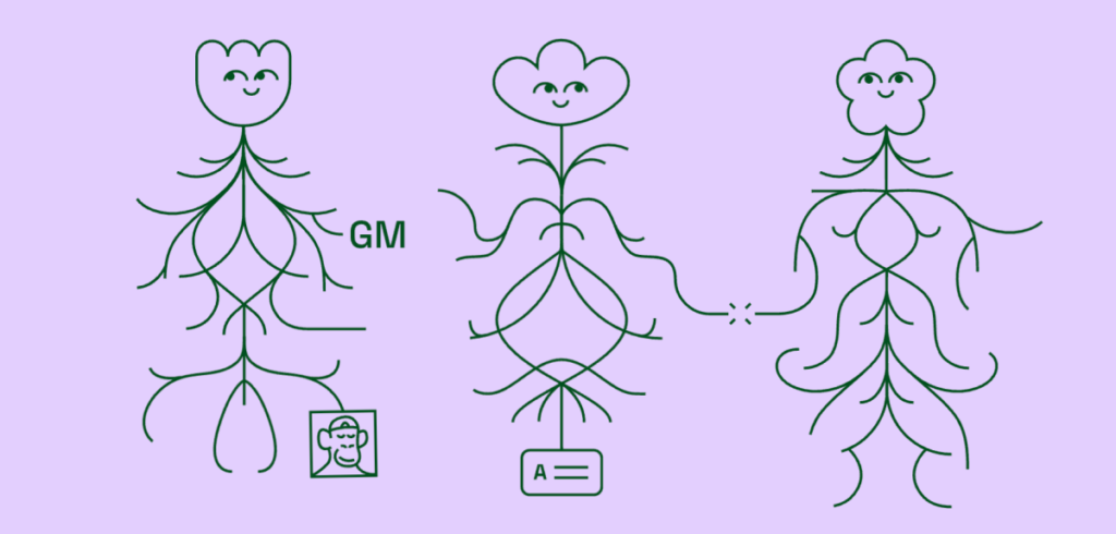 Lens Protocol de Aave recauda $ 15 millones para construir la web social descentralizada
