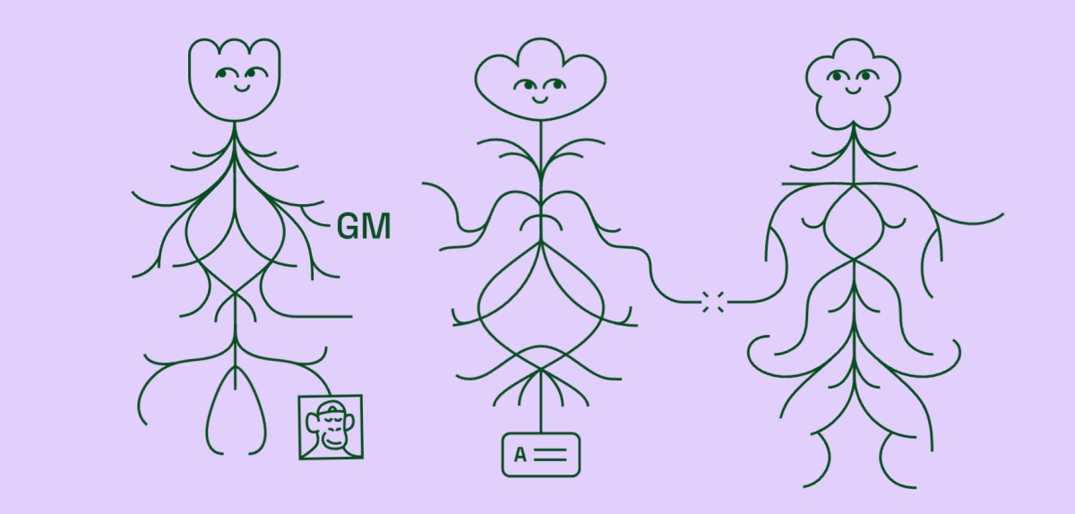 Lens Protocol de Aave recauda $ 15 millones para construir la web social descentralizada