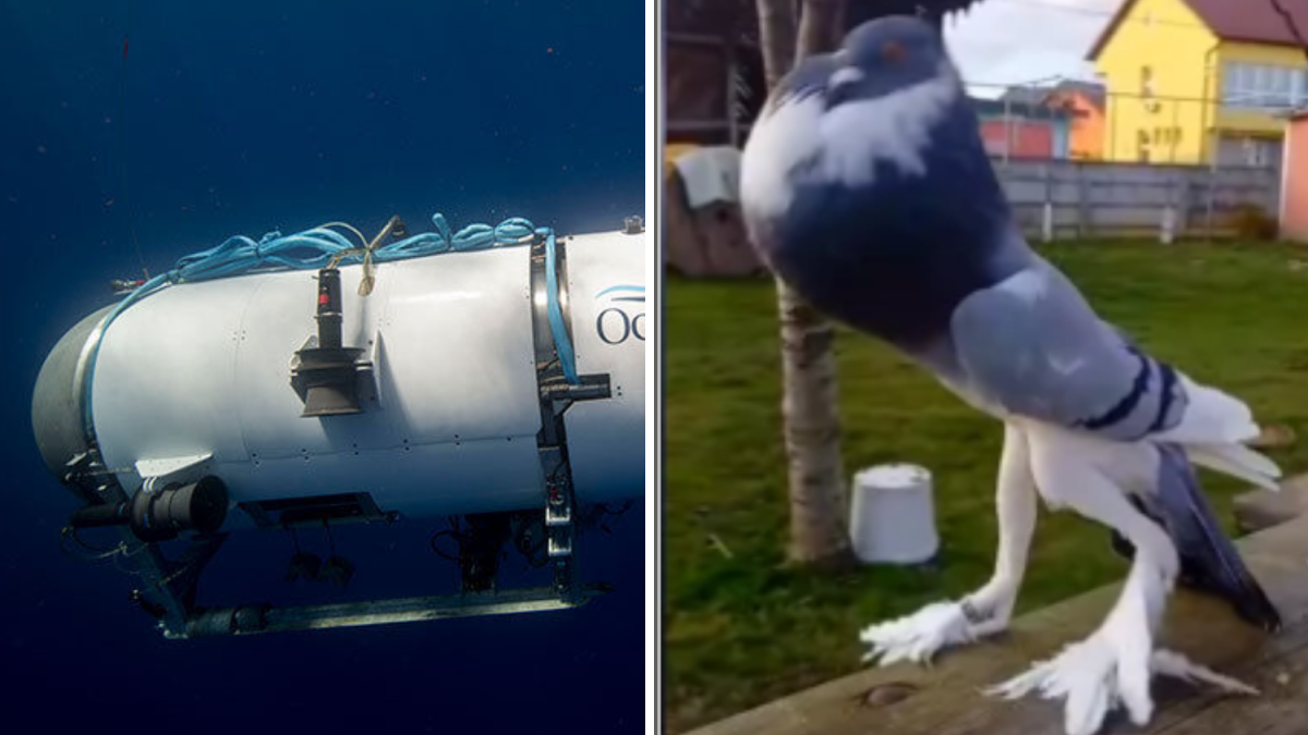 Los últimos minutos del sumergible Titán y más historias insólitas