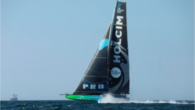 Manada de orcas ataca embarcaciones durante la Ocean Race 2023 | Video