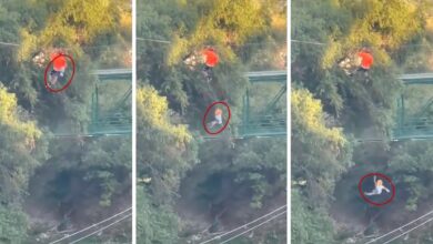 Niño cae de tirolesa de 12 metros en NL tras romperse arnés | Video