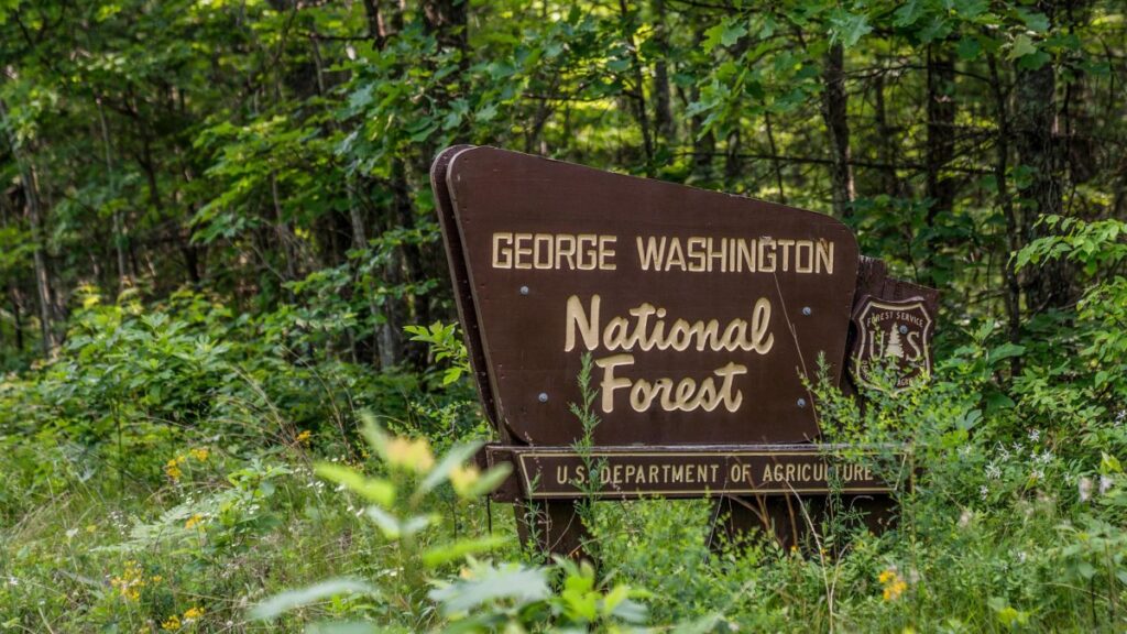 Piloto se habría desplomado antes de accidente aéreo en Virginia