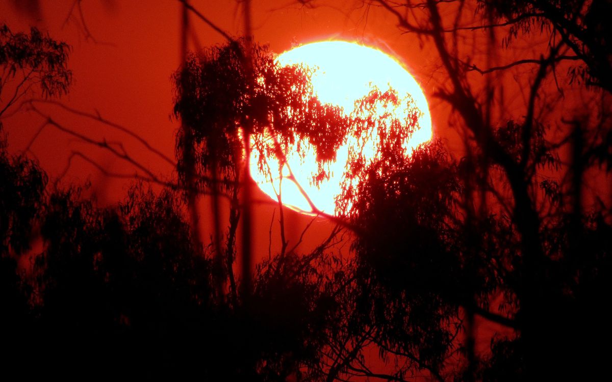 Polémica en India por la muerte de 68 personas posiblemente el calor